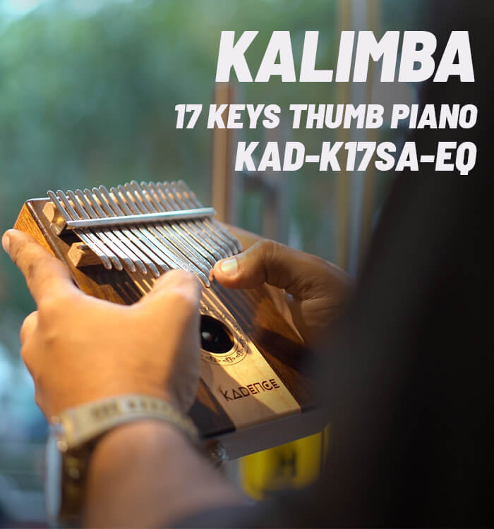 kadence_bgmob (2)