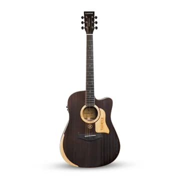Acoustic Guitars
