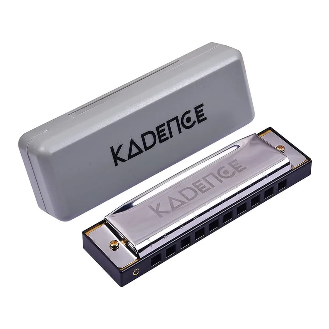 Here’s why the Harmonica is an Easy Instrument to Play and why you should get one today!