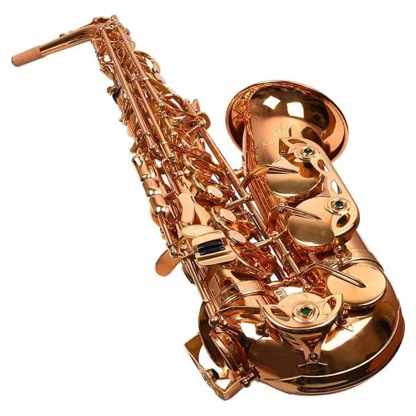 Kadence Alto Saxophone KXG Lacquered