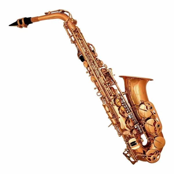 Kadence Alto Saxophone KXG Lacquered