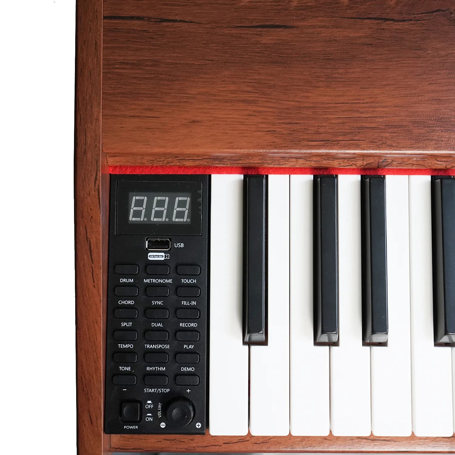 6 Reasons why Kadence’s DP01 is the Best digital piano for beginners