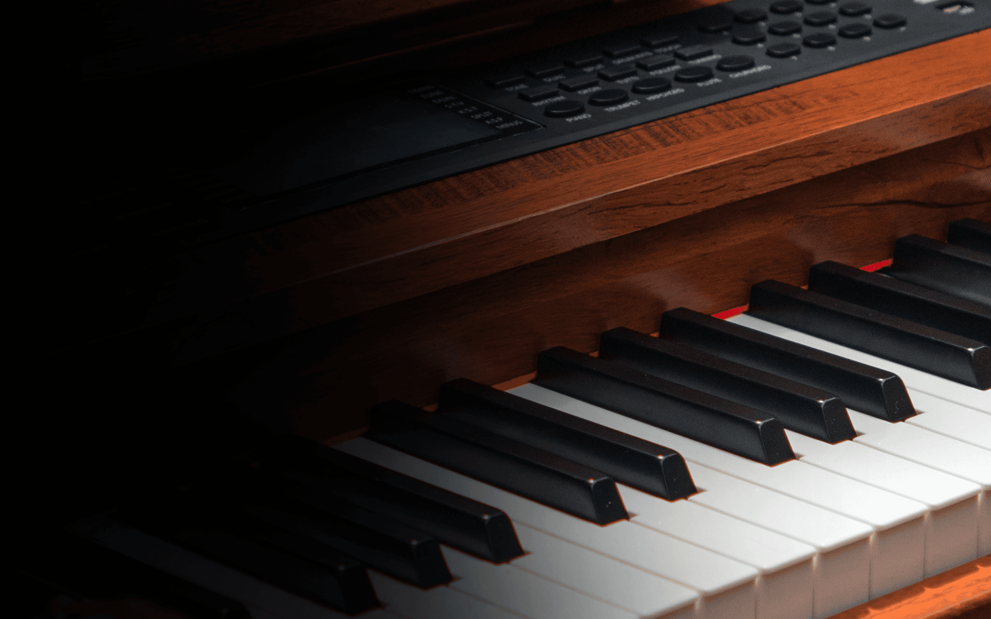 Kadence brown digital piano