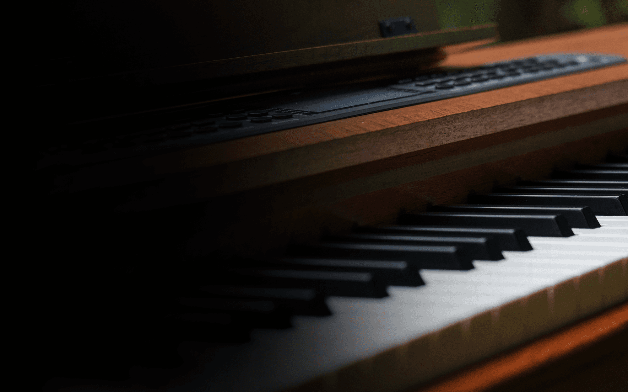 kadence gen25 digital piano