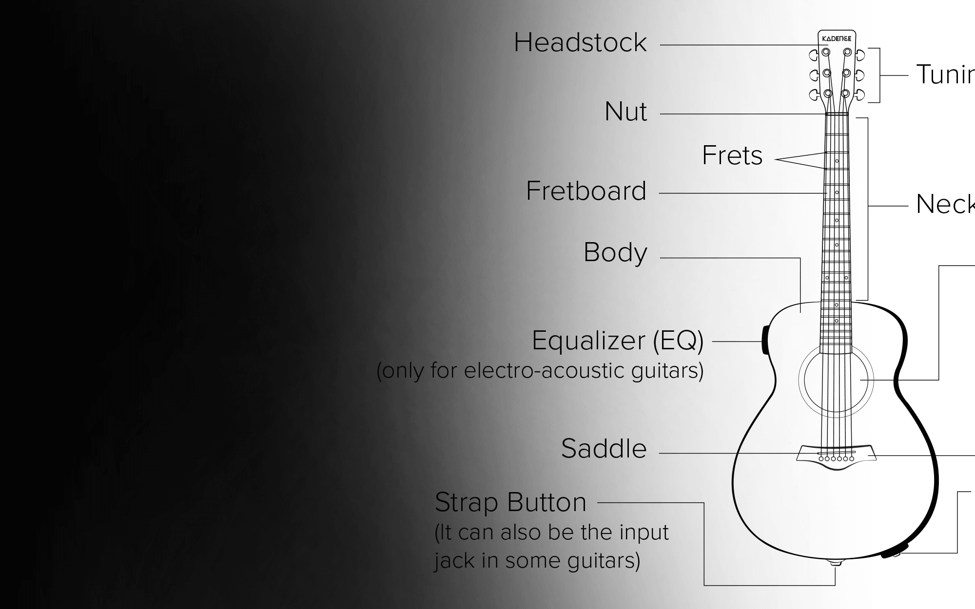 Understanding Guitar Parts and Their Names: A Complete Guide