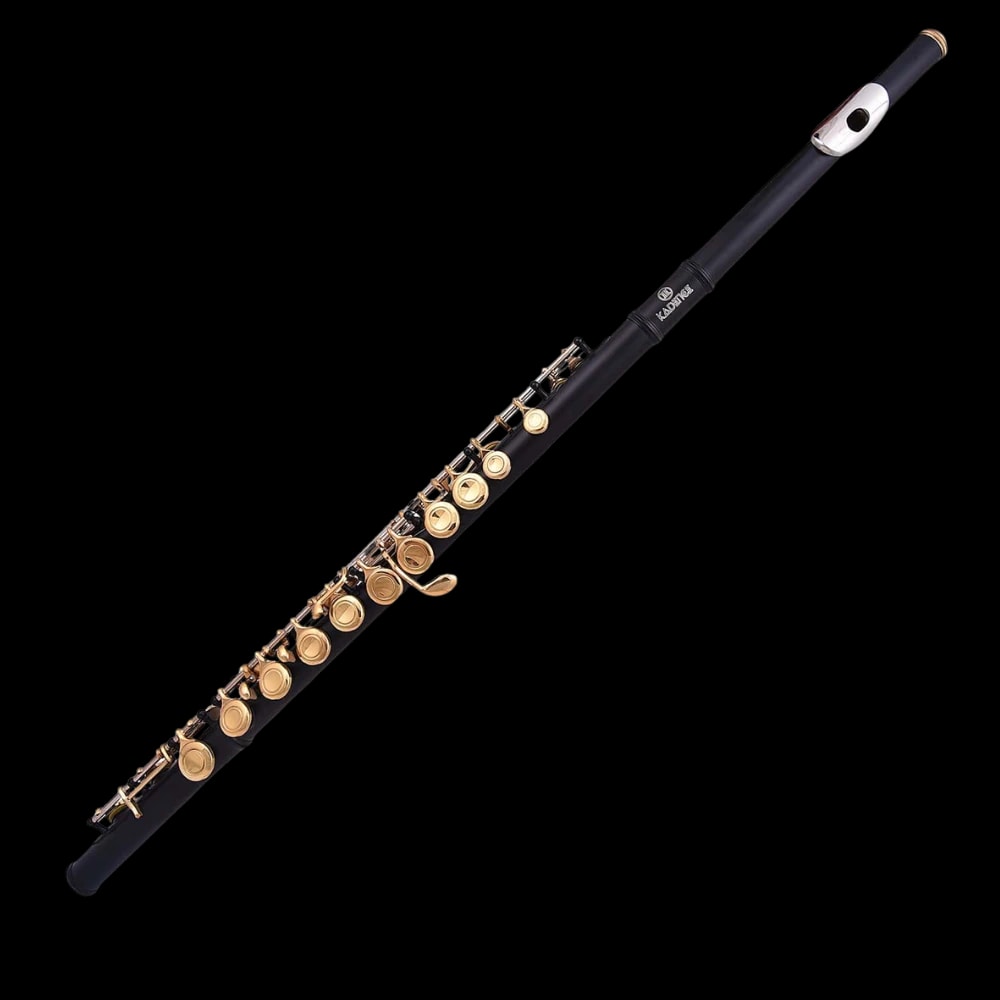 Kadence ML1 Touring Series Flute, view 2 of 4