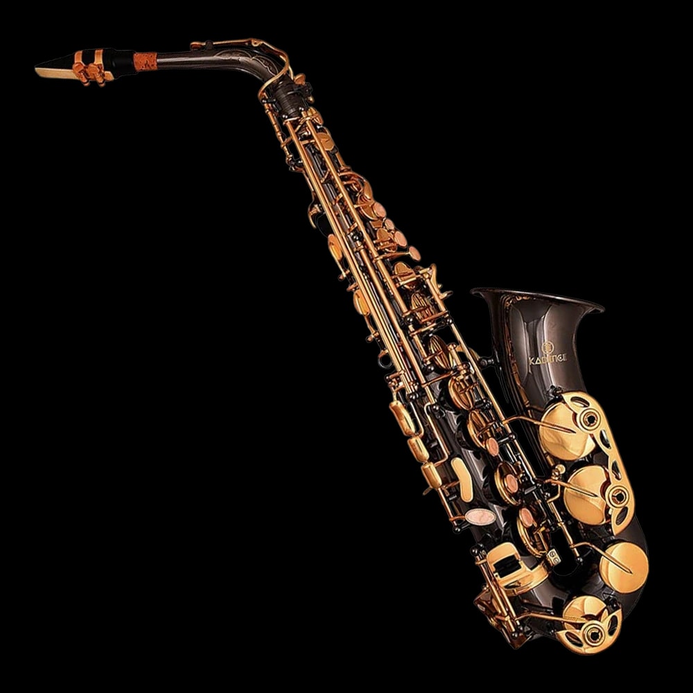 Jamming Series E-flat Alto Saxophone · Black Gold