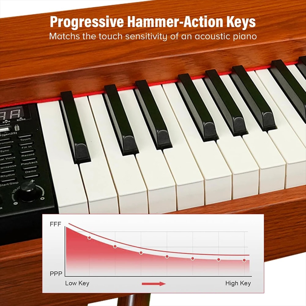 Kadence DP01WWD GEN25 Digital Piano, view 4 of 6