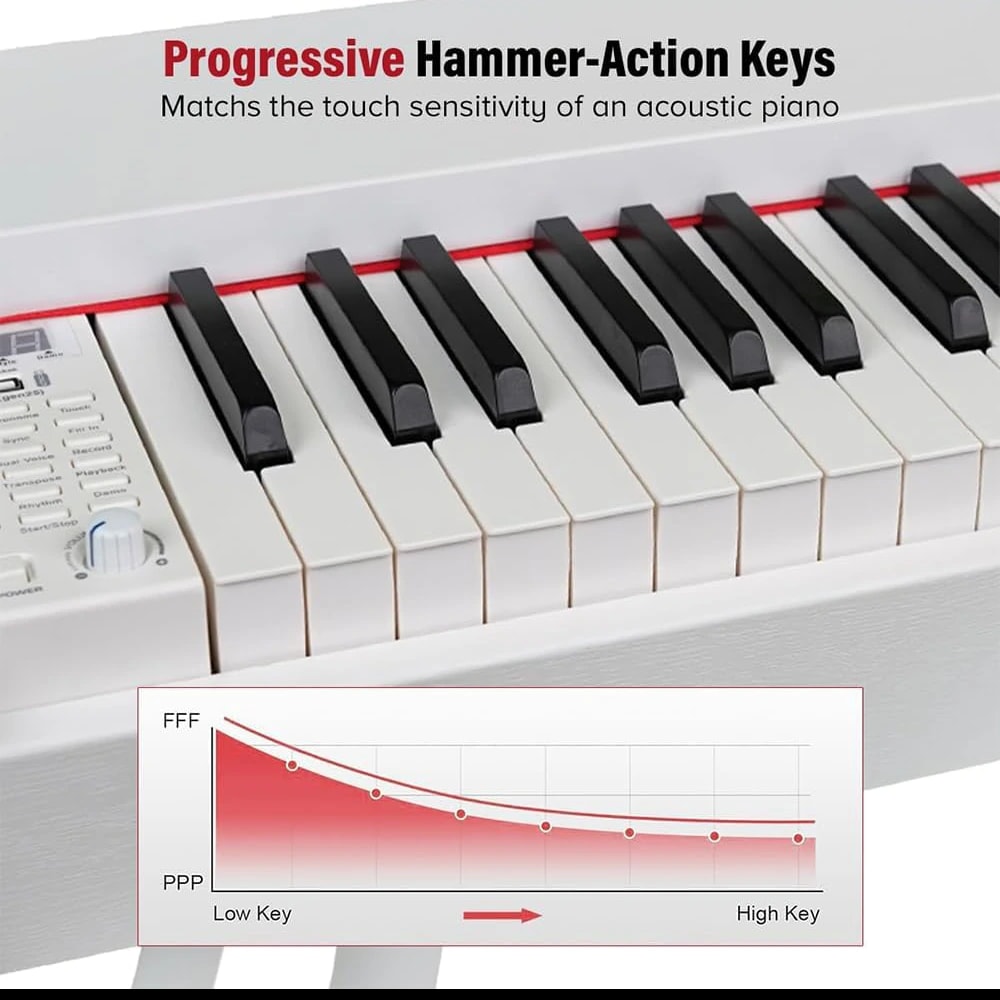 Kadence DP01WWH GEN25 Digital Piano, view 4 of 6