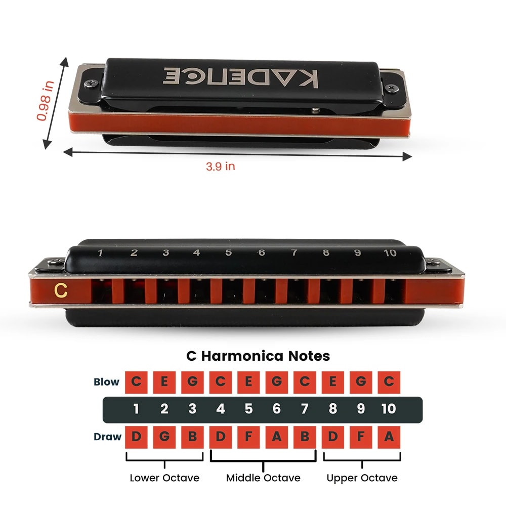 Kadence PB10 Jamming Series 10-Hole Diatonic Harmonica (Mouth Organ), view 6 of 6