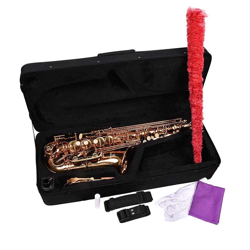 Kadence SAX-KXG Home Series E-flat Alto Saxophone, view 4 of 5
