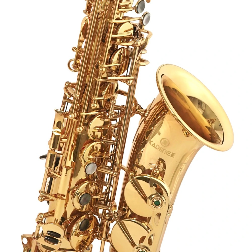 Kadence SAX-PRO-GD Jamming Series  E-flat Alto Saxophone, view 5 of 6