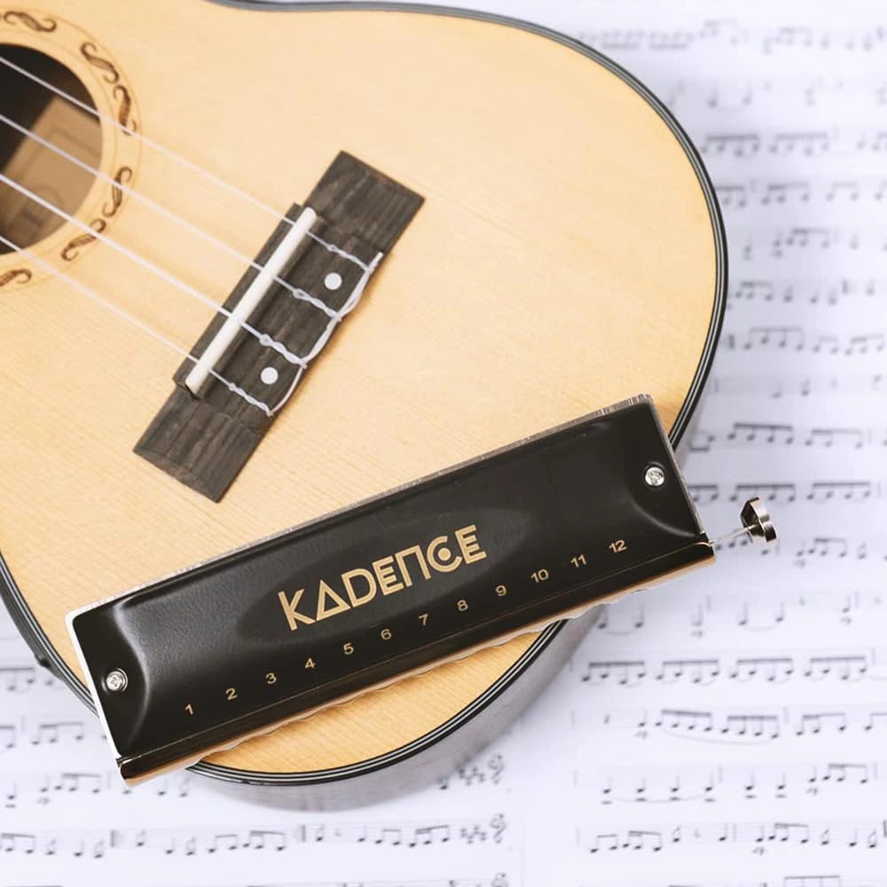 Kadence KHRT1248 Touring Series Chromatic Harmonica (Mouth Organ), view 8 of 8