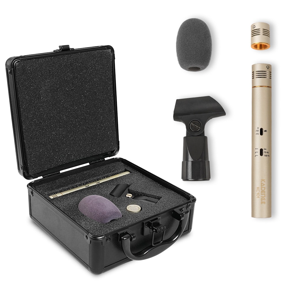 Touring Series Professional Condenser Mic · Silver