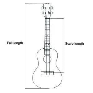 Full Length & Scale Length