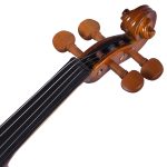 Kadence, Vivaldi 1/2 Violin With Bow, Rosin, Hard Case V-100S