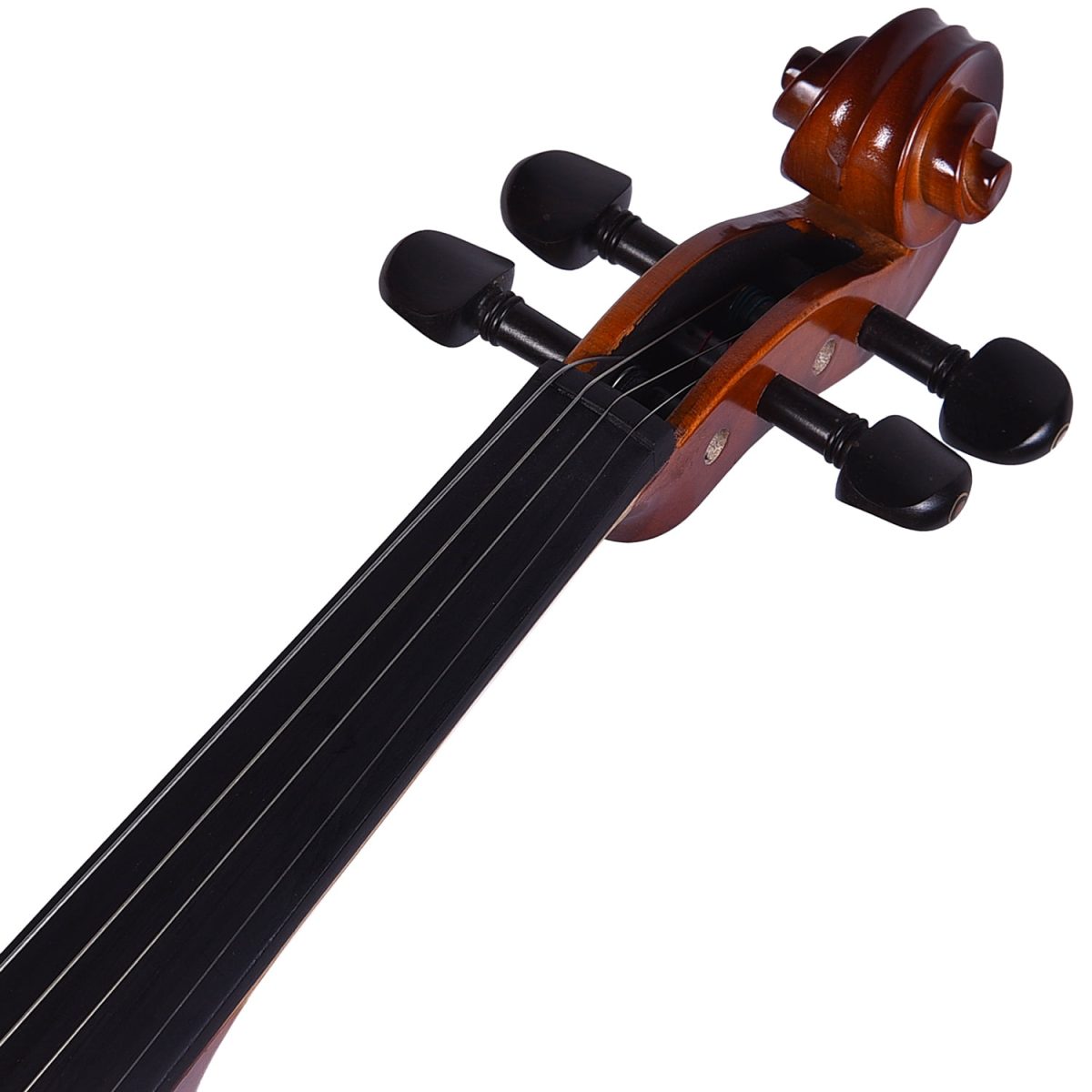 Kadence Vivaldi Violin V1001 Solid Spruce Top, Flame Maple Back