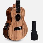 A 24" Ashwood Concert Ukulele with EQ and Bag by Kadence