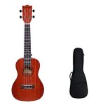 A Cinnamon Brown Ukulele