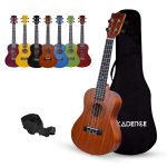 Kadence Concert Ukulele 23 Inch – Cinnamon Brown, Fluorocarbon Strings, Matte Finish with Strap & Bag (Spring Summer Collection)