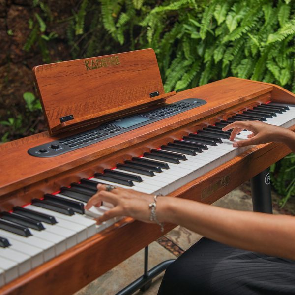 Unlocking Digital Piano Prices in India Kadence.in