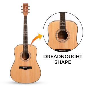Guitar Dreadnought Shape