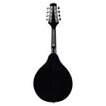 8 strin black mandolin back view