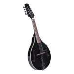 8 string black mandolin front right side view