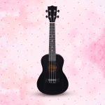 Raven Black Concert 23" Ukulele Spring Summer Collection of Ukuleles with Bag + a Free Ukulele Learning Course.