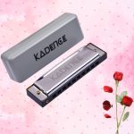 C Scale Diatonic Blues Harmonica With Red Rose Valentine's Gift