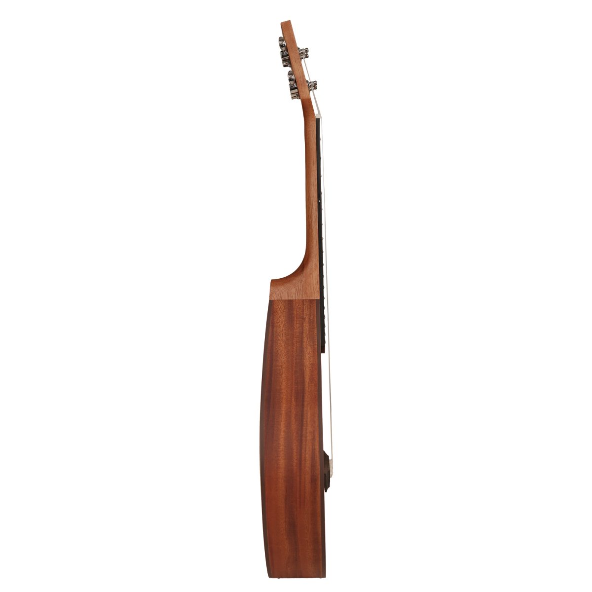 5 (40) Kadence 26" Ukulele Spruce Top Sapele Back&Side - Image 5