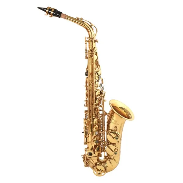 A Professional Gold Alto Saxophone with Case