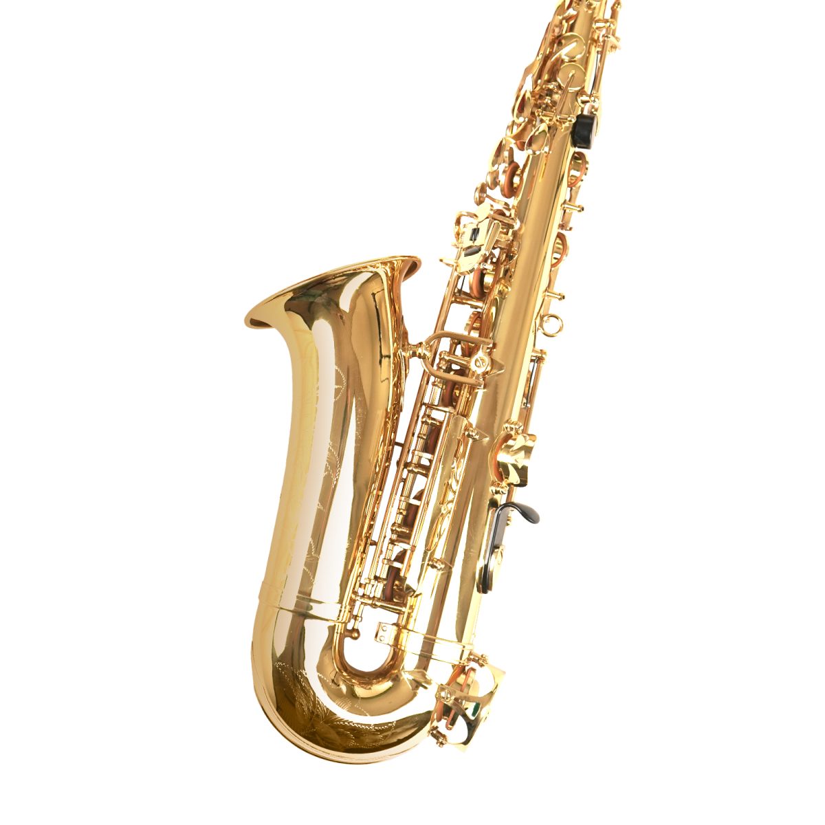 02 (2) Professional Gold Alto Saxophone with complete Kit- Case, Polishing Cloth, Cleaning Rod and Gloves - Image 6