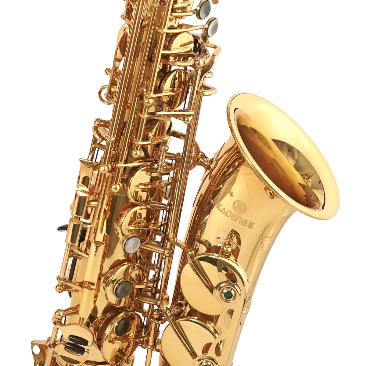 04 (1) Professional Gold Alto Saxophone with complete Kit- Case, Polishing Cloth, Cleaning Rod and Gloves - Image 4