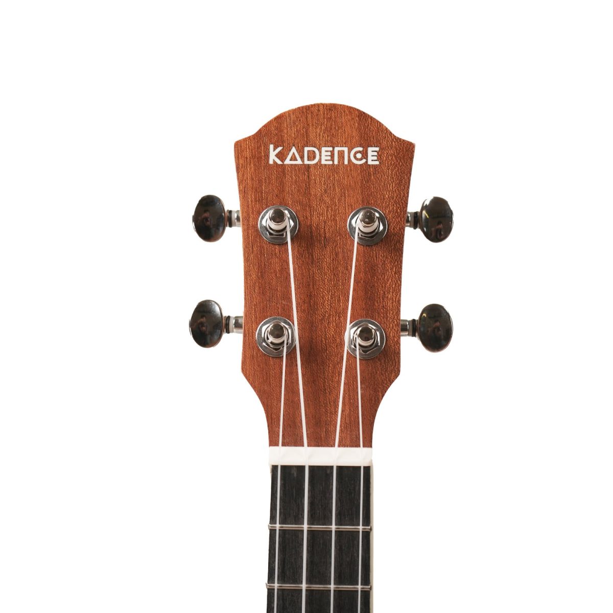 4 string bajolele frets