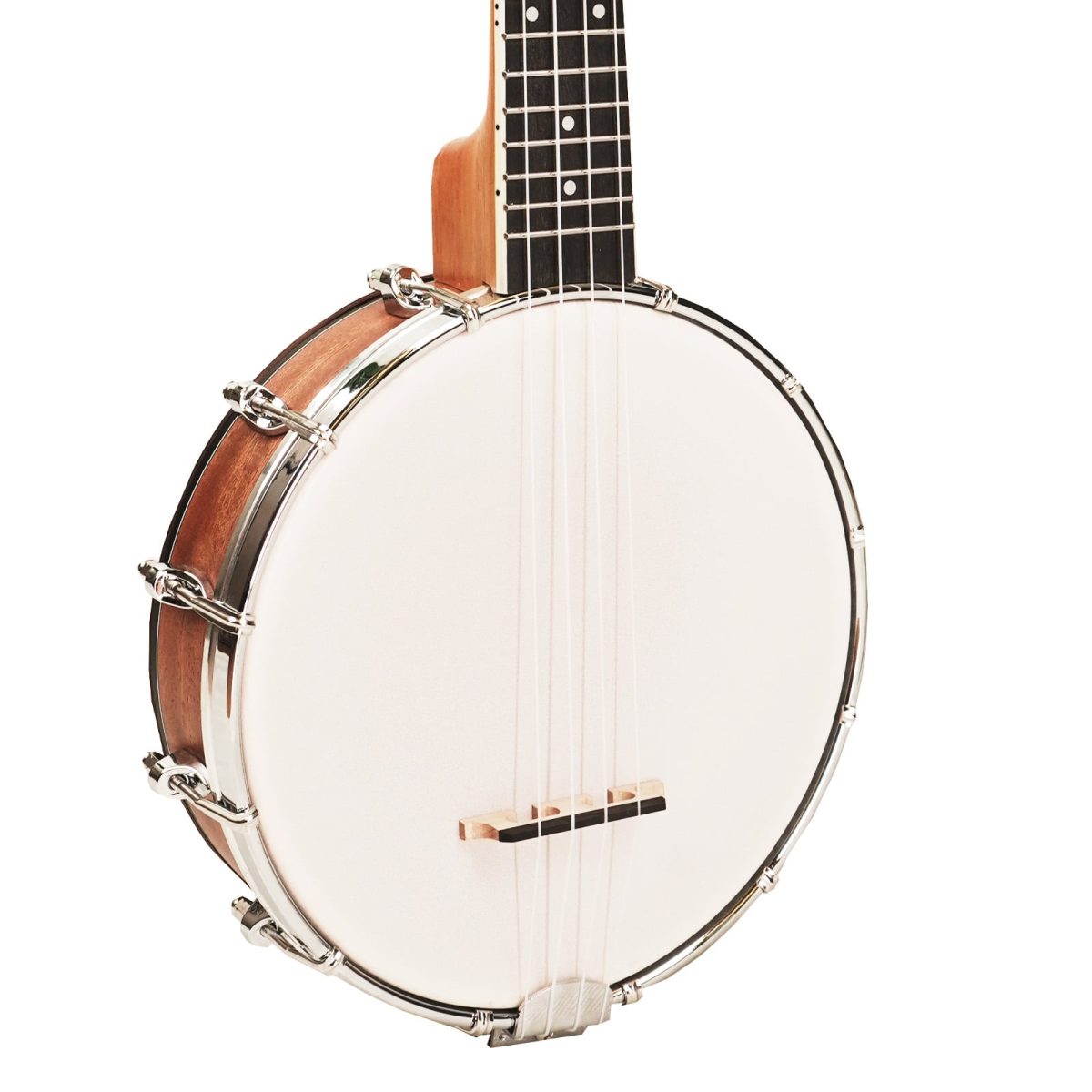 4 string banjoele body view