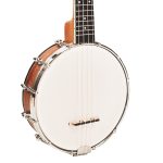 4 string banjoele body view