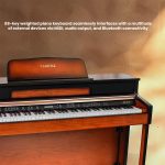 Kadence ZSF Digital Piano | 88 Natural Weighted Hammer Action Keys | Wooden Stand, Triple Pedals, MIDI & Premium Wooden Key Covers - Image 4