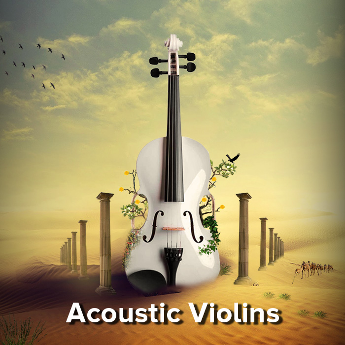 Accoustic violins