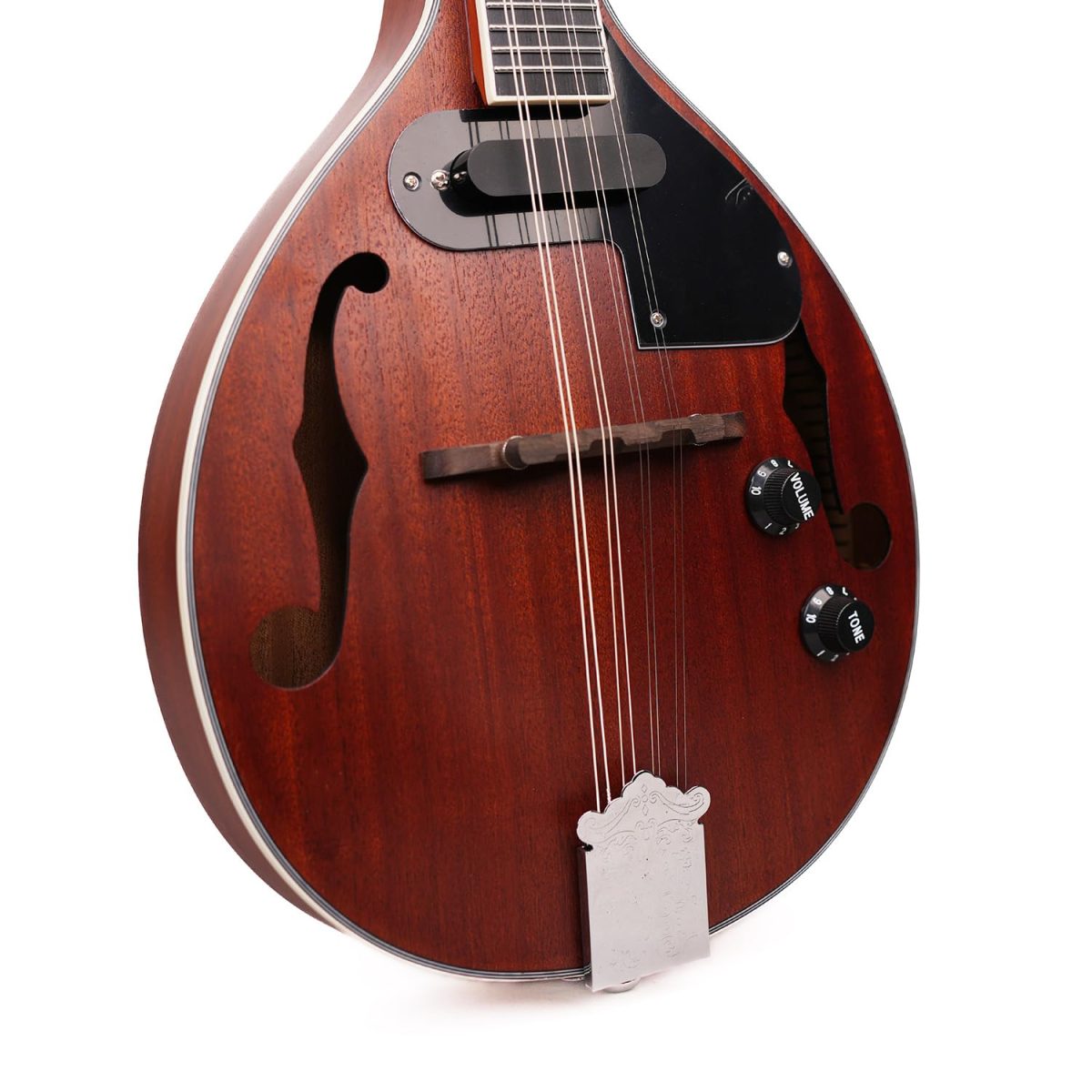 8 string electro acoustic mandolin body with equilzers
