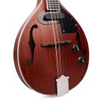 8 string electro acoustic mandolin body with equilzers