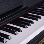 Kadence GEN25 Series | DP01 Hammer Action Weighted 88 Keys Portable Black Digital Piano with Wooden Stand. - Image 6