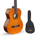 a kadence 6 Strings Rose Wood Classical Guitar with bag