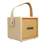 Kadence 15W Portable  Guitar Amplifier – Bluetooth, Built-in Battery, EQ Controls, Aux Input & Guitar/Bass Compatibility