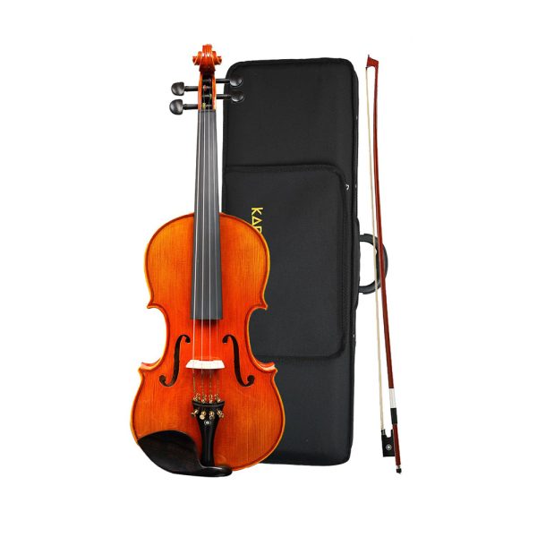 Kadence Solid Spruce Violin | Flaming Tone Back + Case