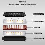 Kadence PB10 10-Hole Diatonic Harmonica | C Major | Brass Reed Plates | Stainless Steel Coverplates | ABS Comb | Includes Hard Case - Image 3