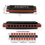Kadence PB10 10-Hole Diatonic Harmonica | C Major | Brass Reed Plates | Stainless Steel Coverplates | ABS Comb | Includes Hard Case - Image 6