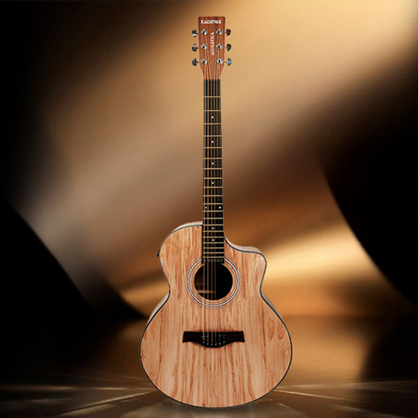 Semi-Acoustic Guitars